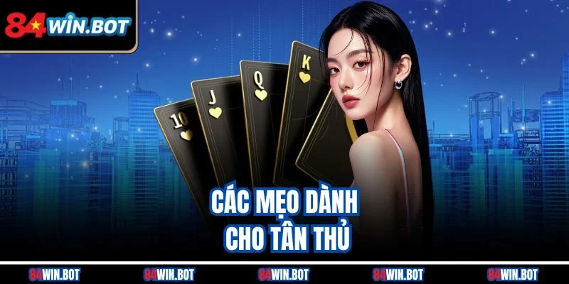 Các mẹo dành cho tân thủ