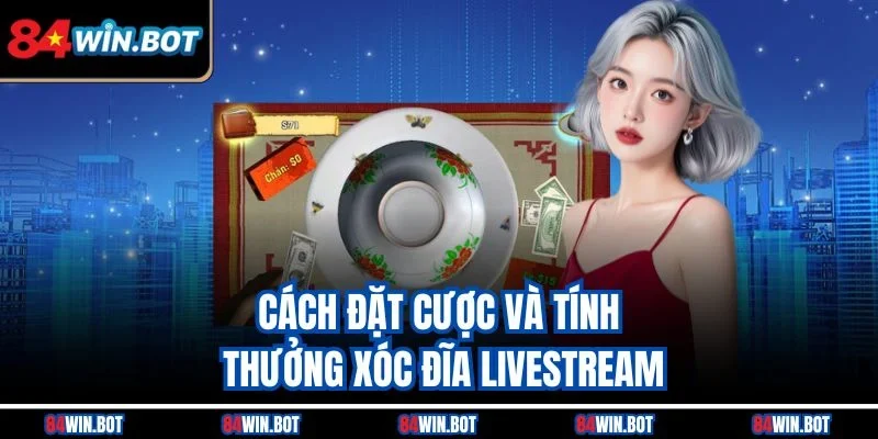 Cách đặt cược và tính thưởng xóc đĩa livestream