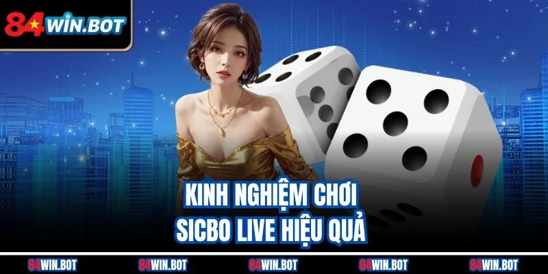 Kinh nghiệm chơi Sicbo live hiệu quả